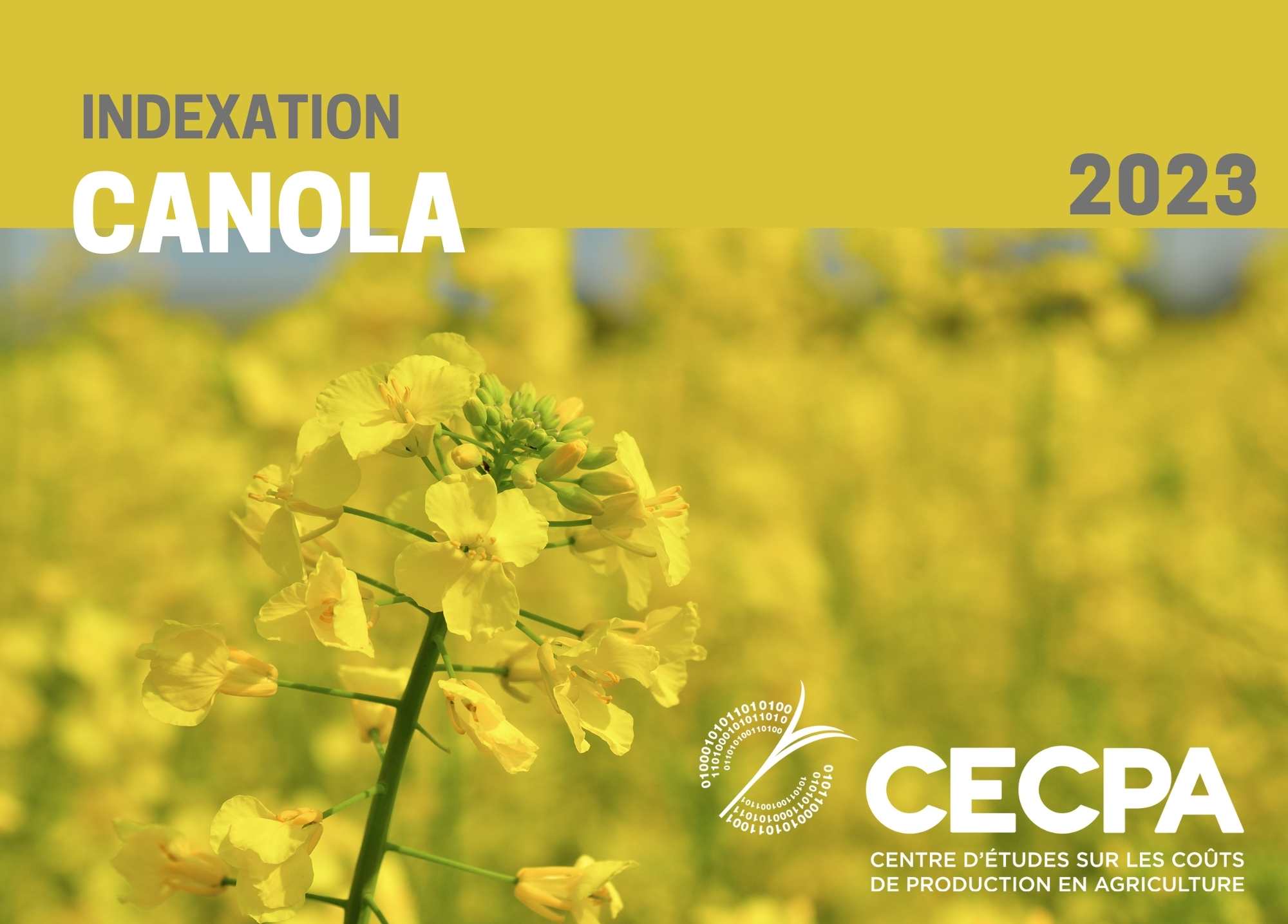 étude : INDEXATION 2023 - CANOLA